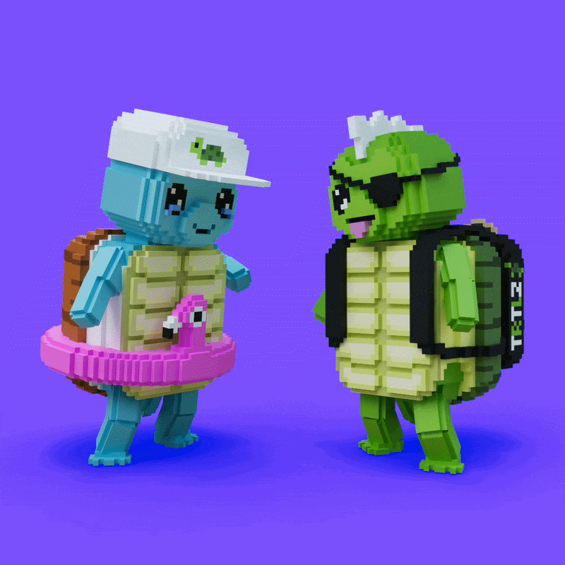 Turtle Pff TURTLEZ | APECHAIN